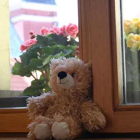 Teddy Bear